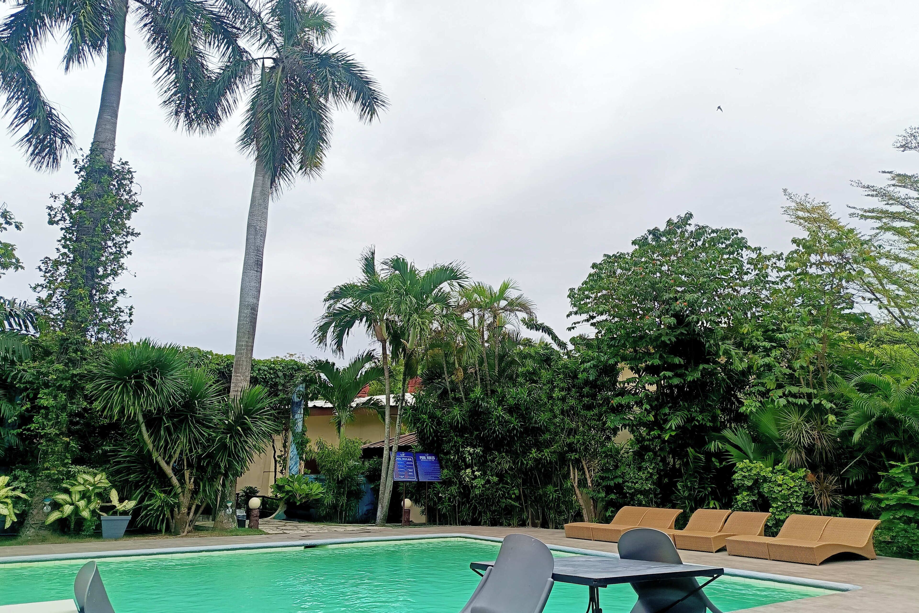 Ein Swimmingpool mit Liegestühlen und einem Tisch, umgeben von Palmen und viel Grün.
