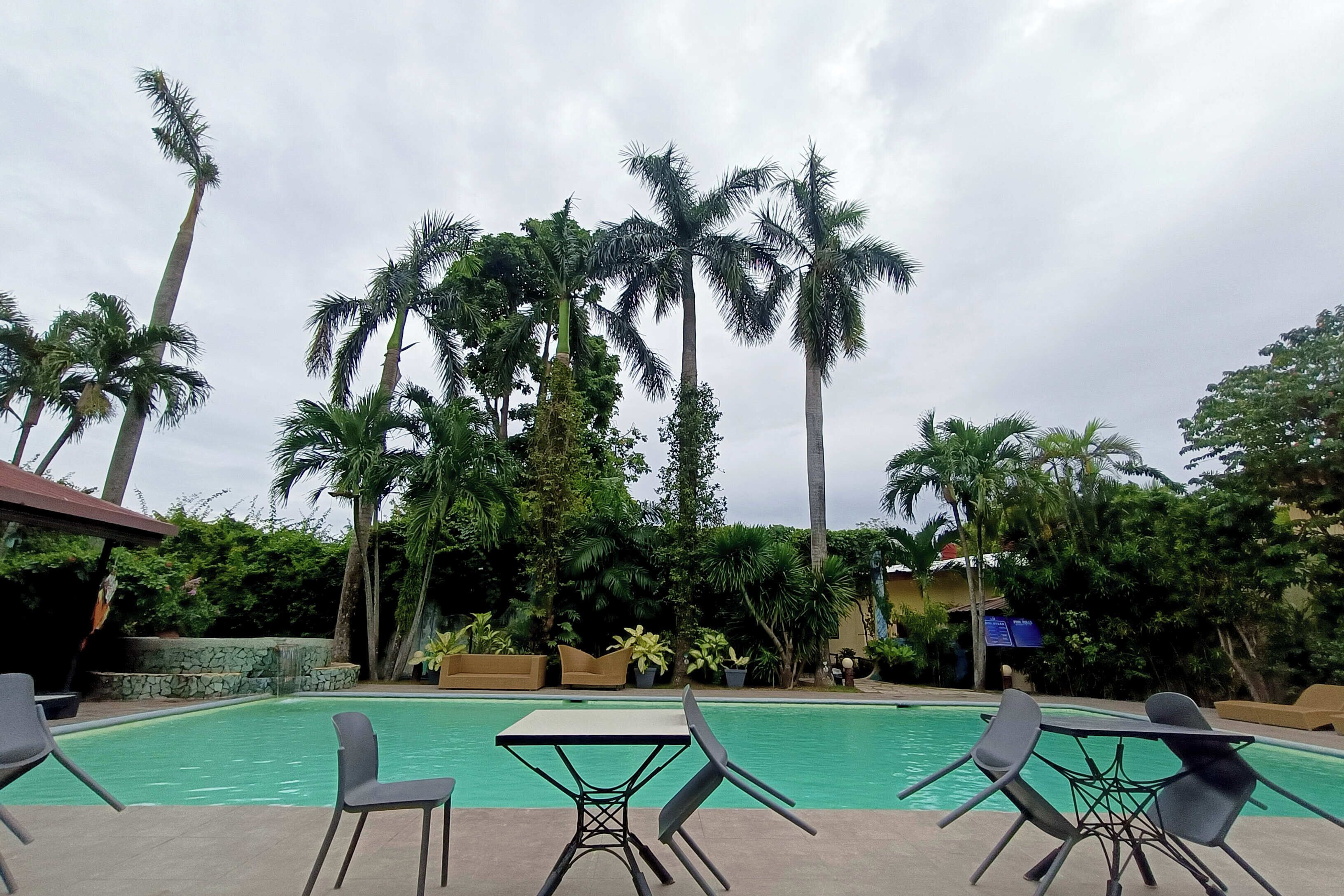 A pool area with lounge chairs and tables, surrounded by tall palm trees and greenery.