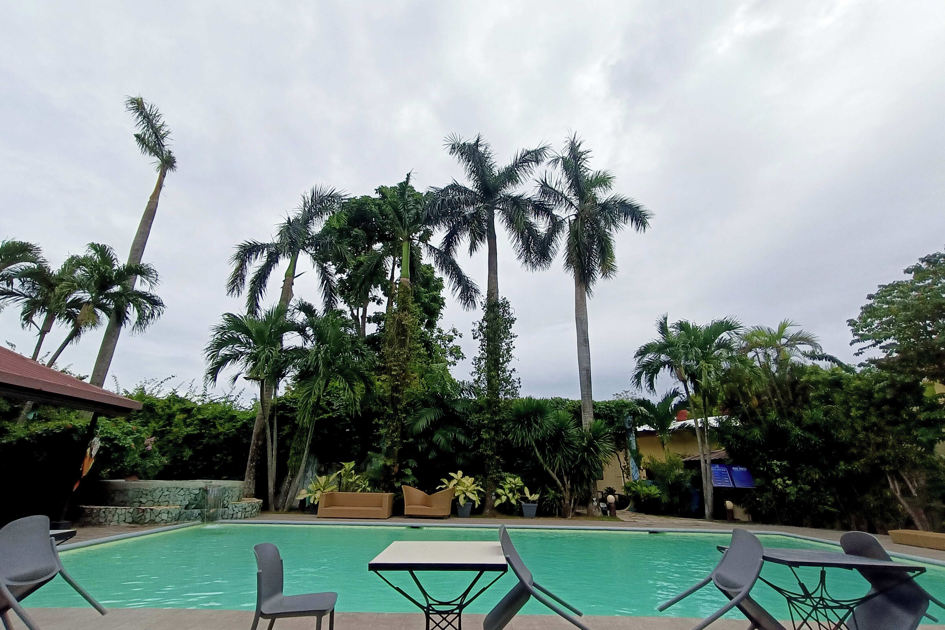 A pool area with lounge chairs and palm trees.