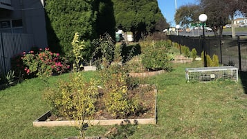 Pemandangan dari kamar