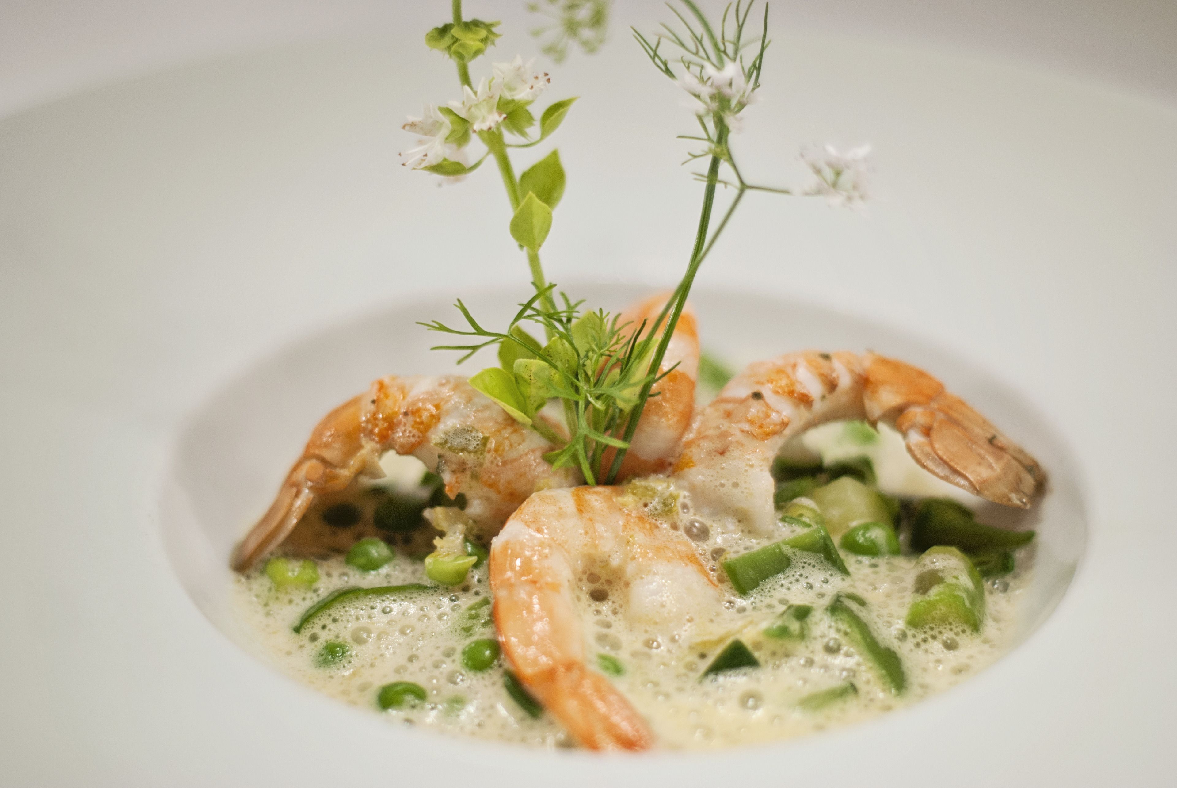 Prato com camarão, vegetais verdes e molho cremoso, decorado com uma pequena planta.