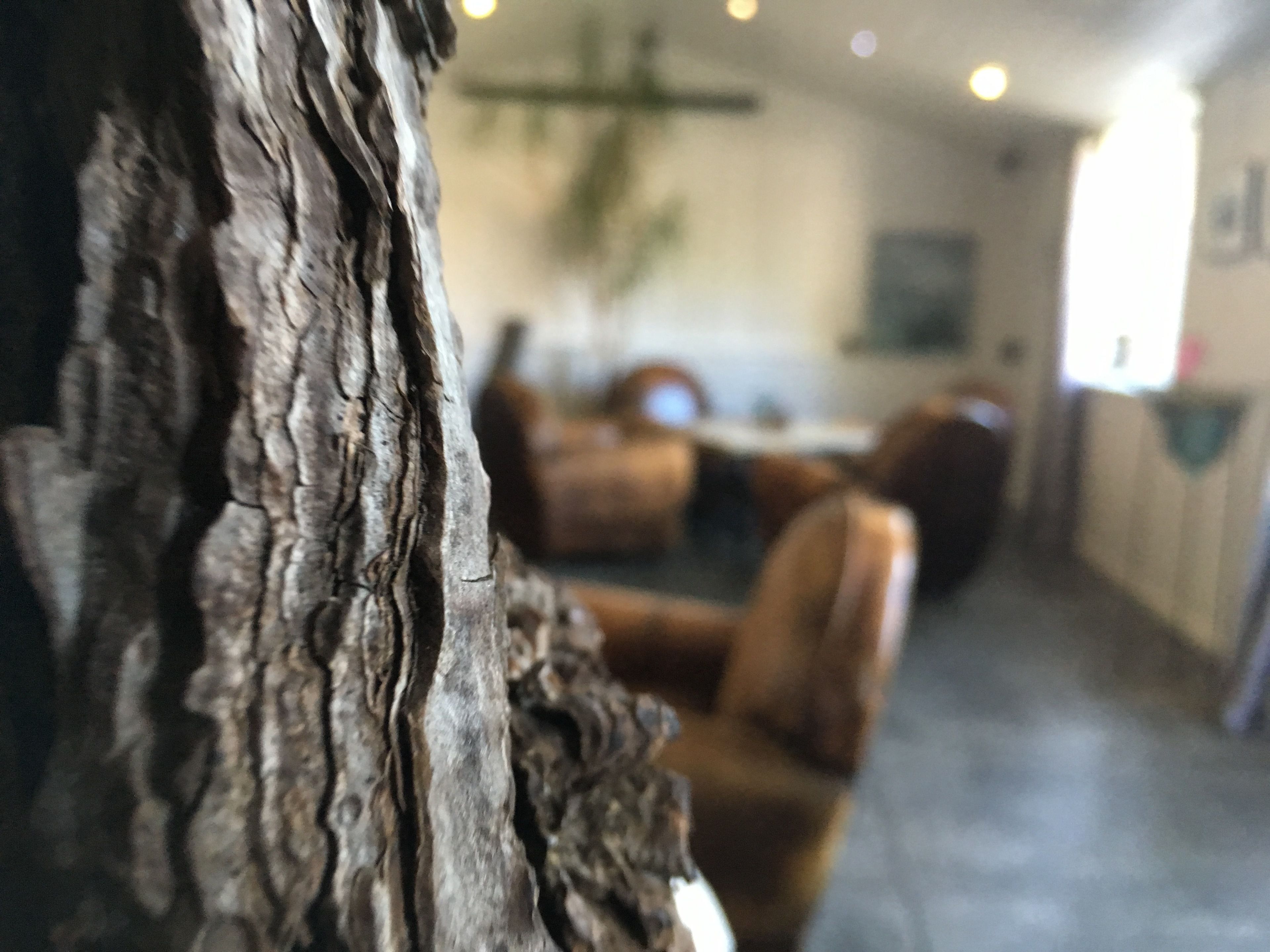 A rustic interior with a wooden beam, leather seating, and a dining area.