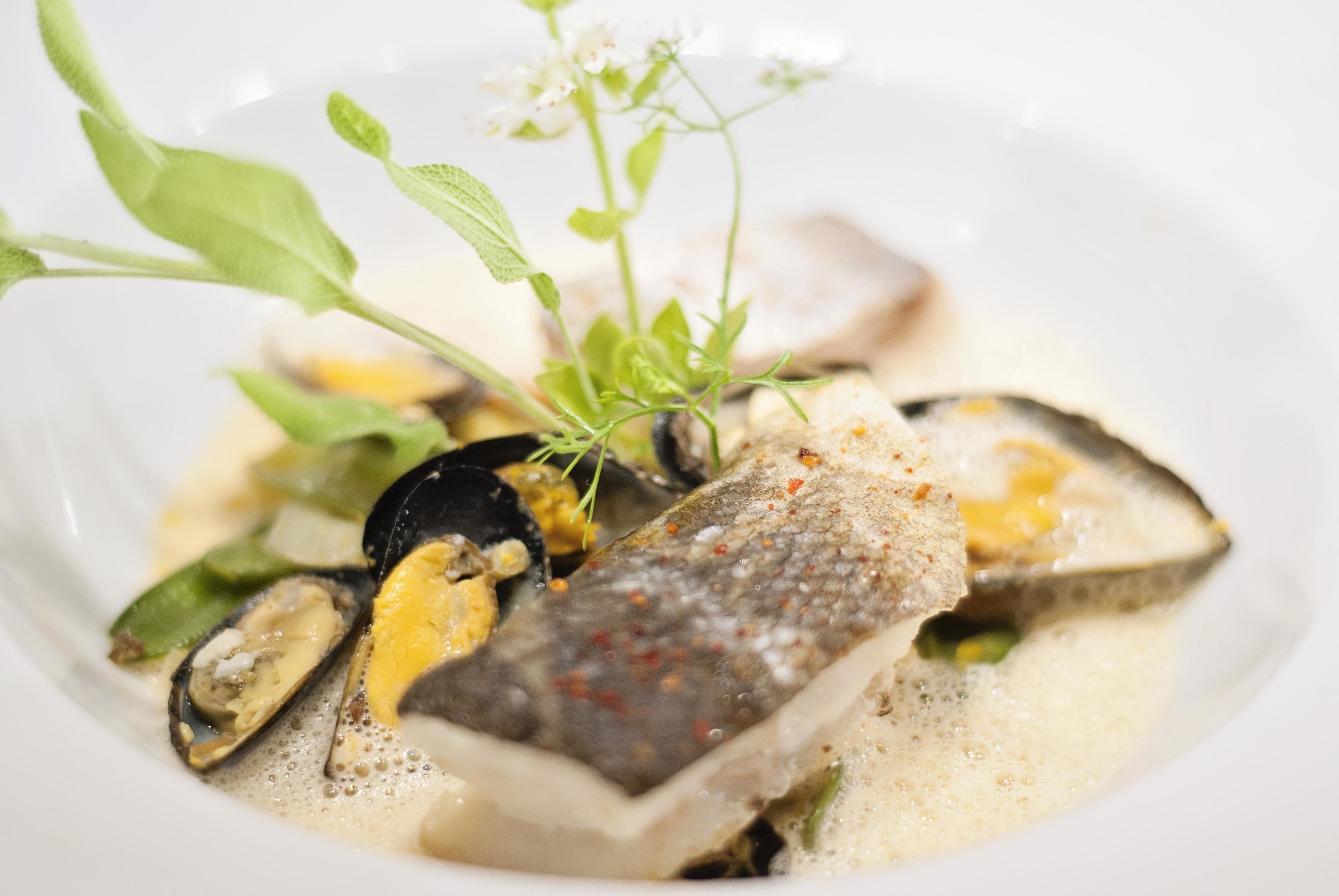 A dish with fish, mussels, and herbs.