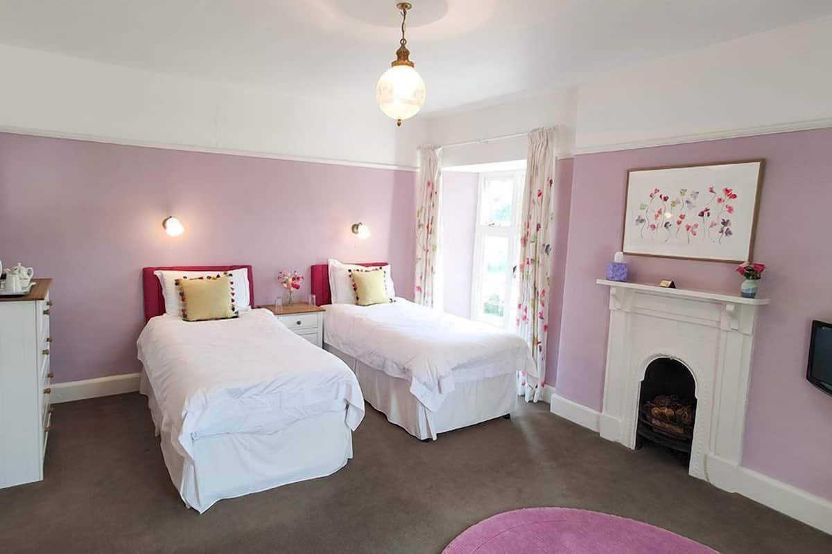 Une chambre avec deux lits, une cheminée et un tableau au mur.