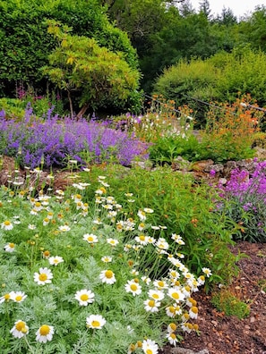 Garden - Eastwrey Barton Country House (Newton Abbot)