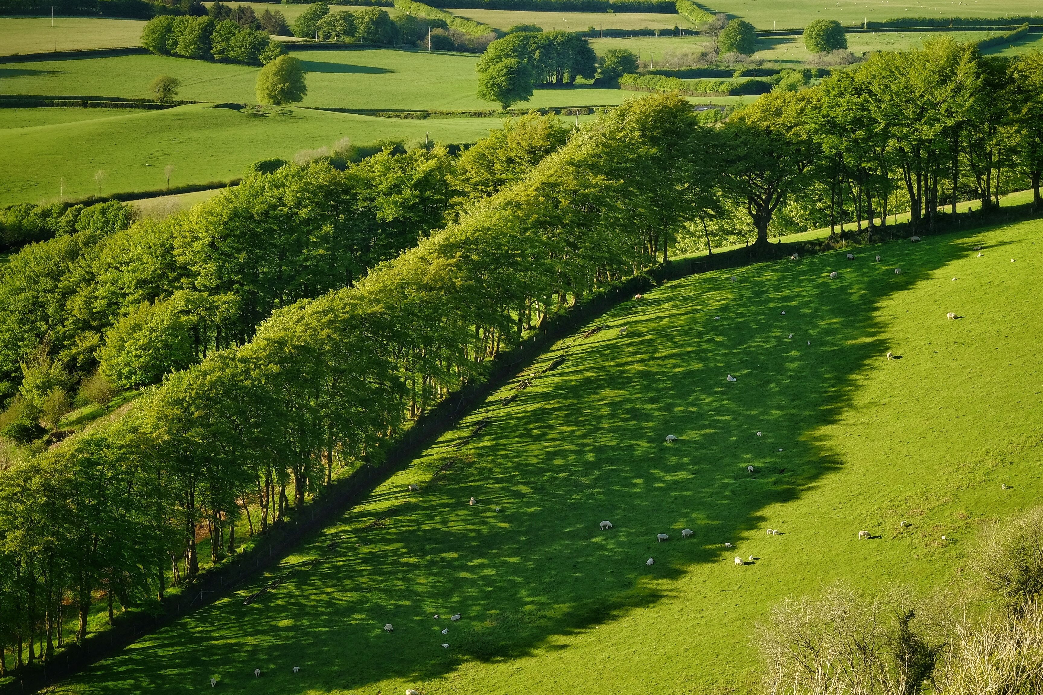 Superior Room, 1 King Bed | View from room