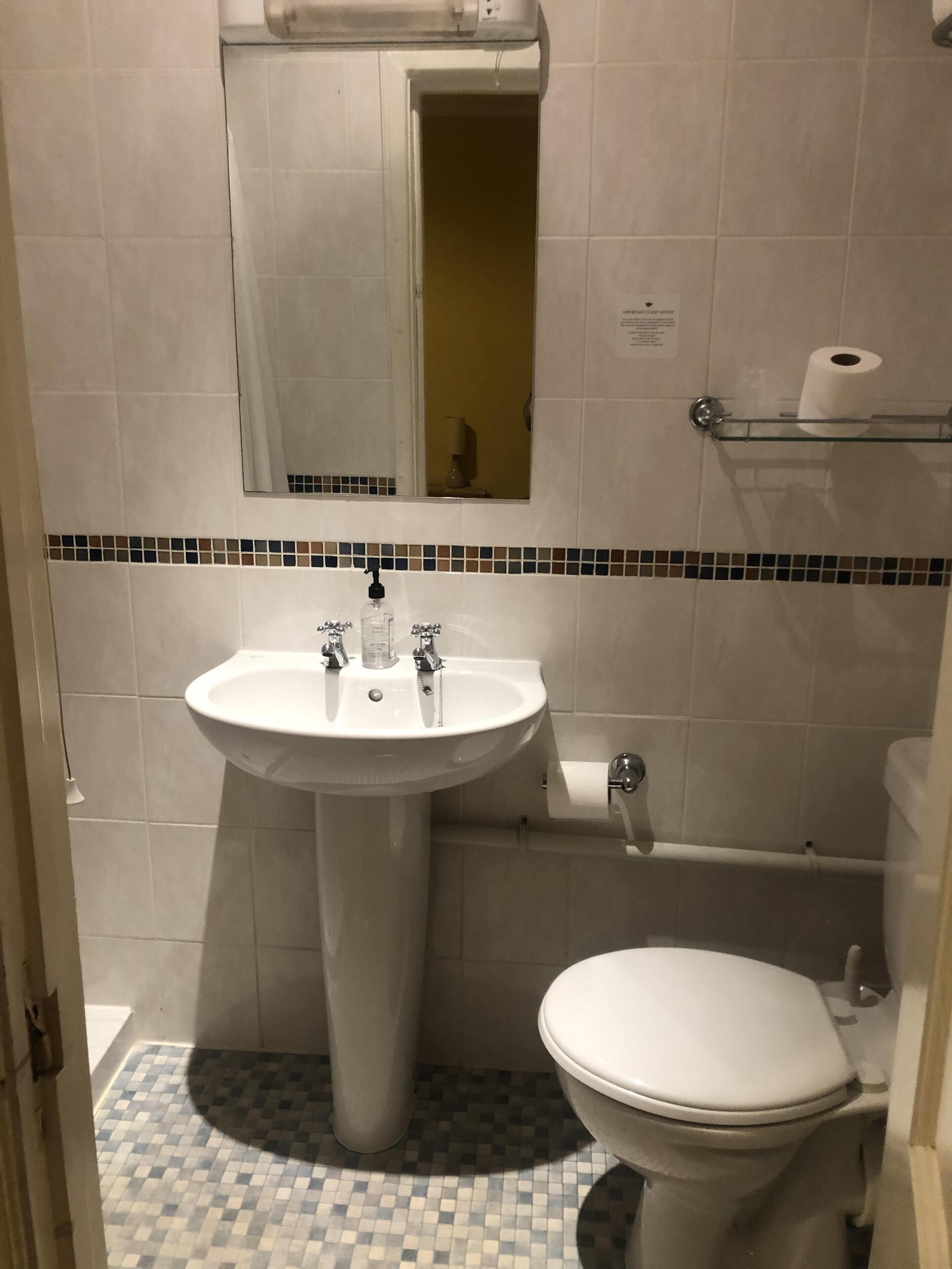 A bathroom with a pedestal sink, a toilet, and a mirror.