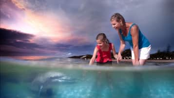 On the beach, white sand, sailing, kayaking