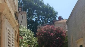 Un estrecho callejón adoquinado flanqueado por edificios de piedra, una reja metálica y una escalera que conduce a un edificio con un arbusto de flores rojas.
