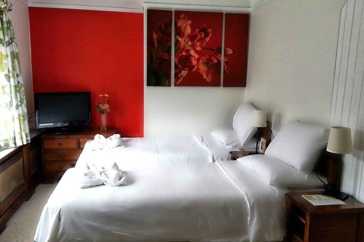 A hotel room with a large bed, a television, a red accent wall, and a painting.