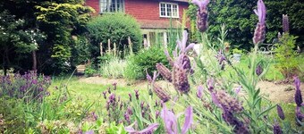 Rosemead Guest House