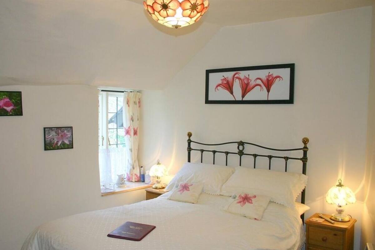 Double Room, Private Bathroom (Luccombe)