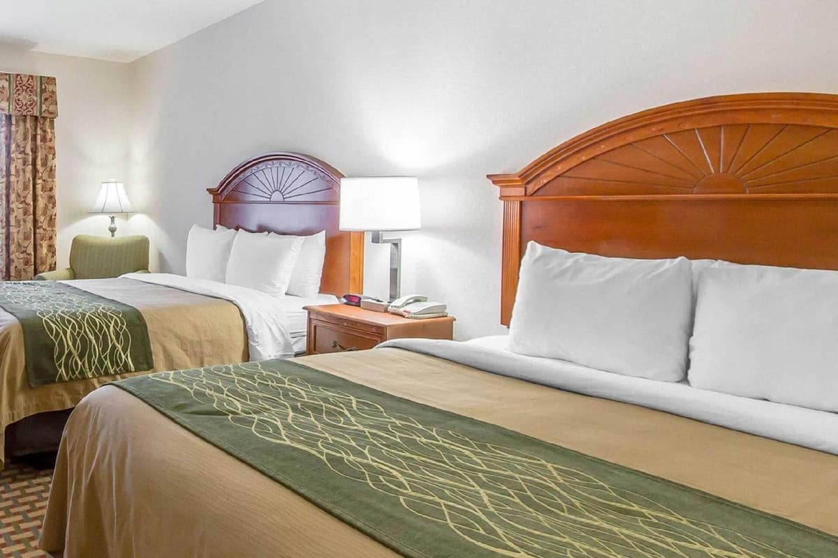 Down duvets, pillow-top beds, desk, blackout curtains