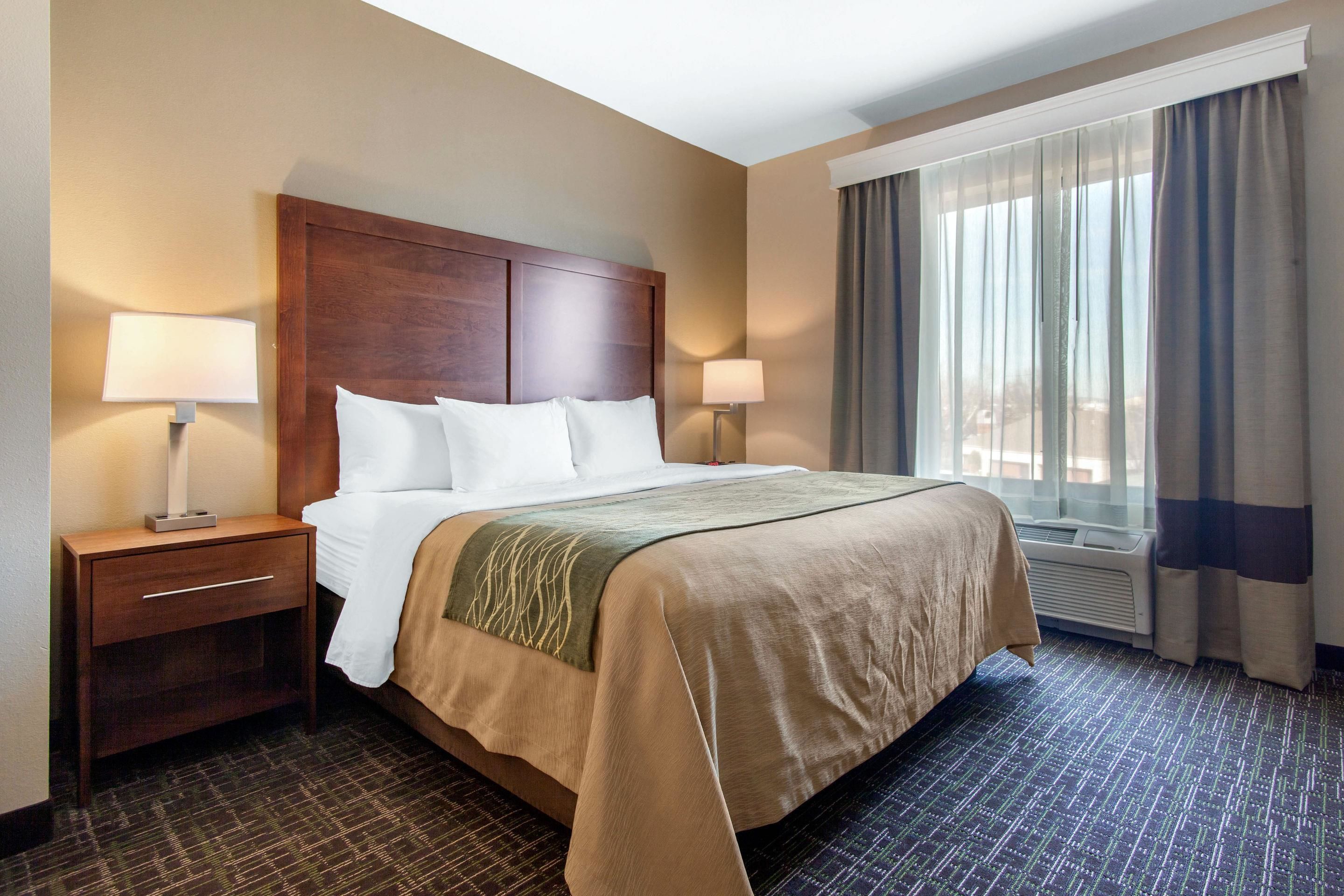 business suite, 1 king bed with sofa bed, non smoking (1 person sofa bed) | down duvets, pillow-top beds, desk, blackout curtains