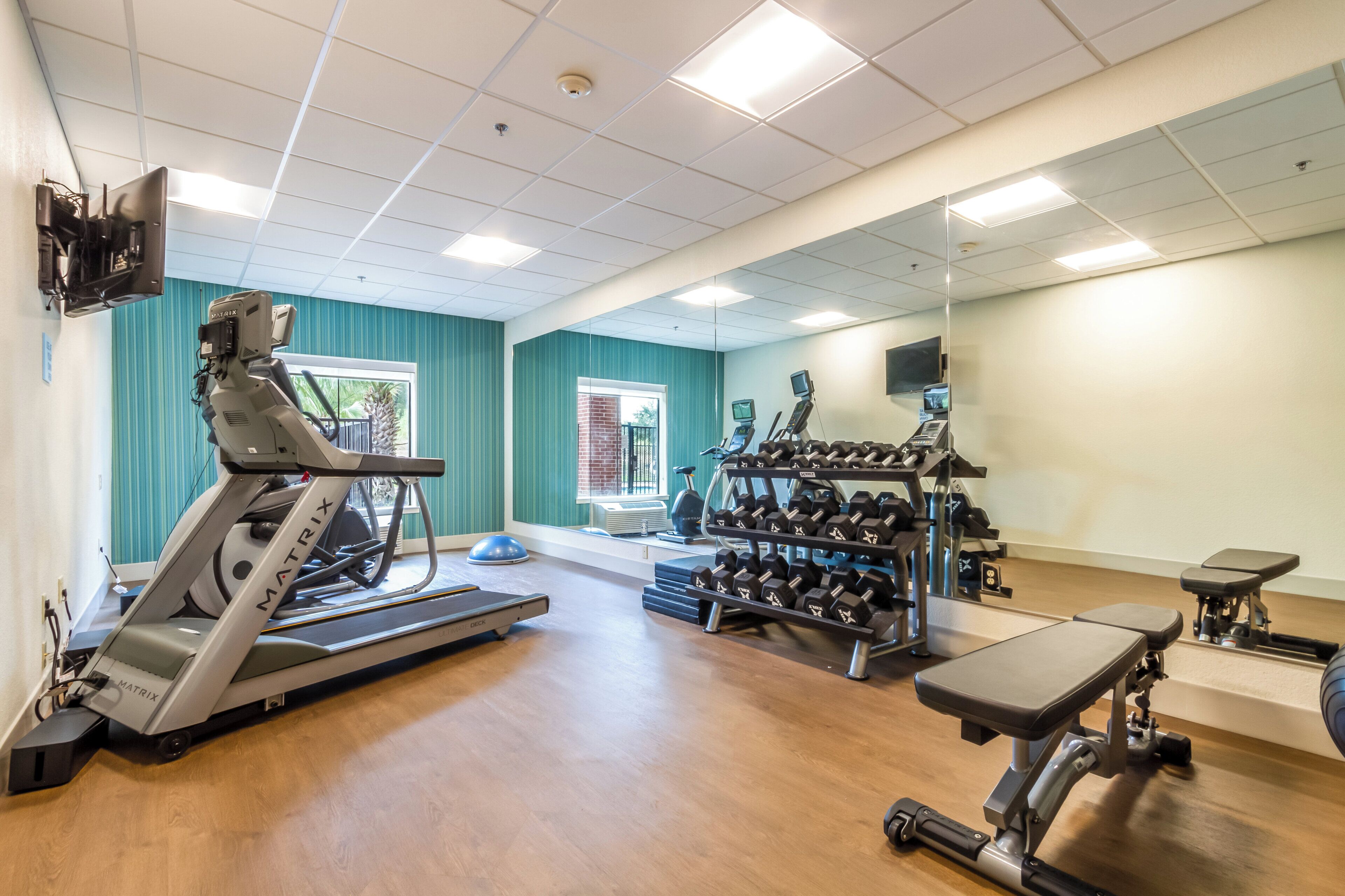 A gym with treadmills, dumbbells, and exercise equipment.
