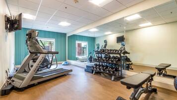 A gym with treadmills, dumbbells, and exercise equipment.