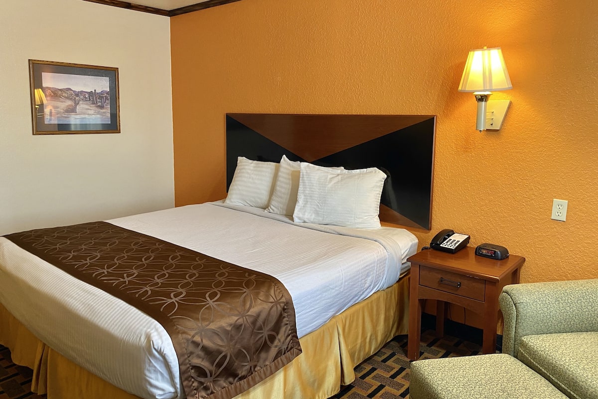 Standard Room, 1 King Bed (Non Smoking) | Desk, blackout drapes, iron/ironing board, free WiFi