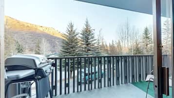 Studio (Lichenhearth 27) | View from room