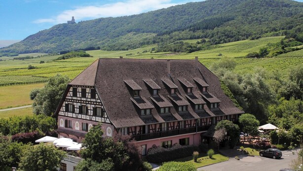 A traditional half-timbered building with a sloped roof, surrounded by lush green fields and a forested hill in the background. - The Originals Relais, Le Verger des Châteaux (Dieffenthal)