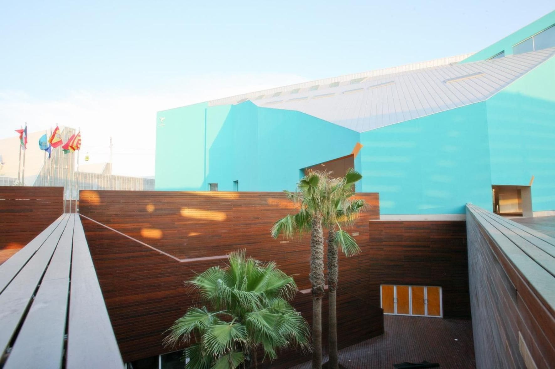 A rooftop terrace with wooden decking, a palm tree, and a modern building with a blue facade.