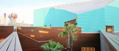 A rooftop terrace with wooden decking, a palm tree, and a modern building with a blue facade.