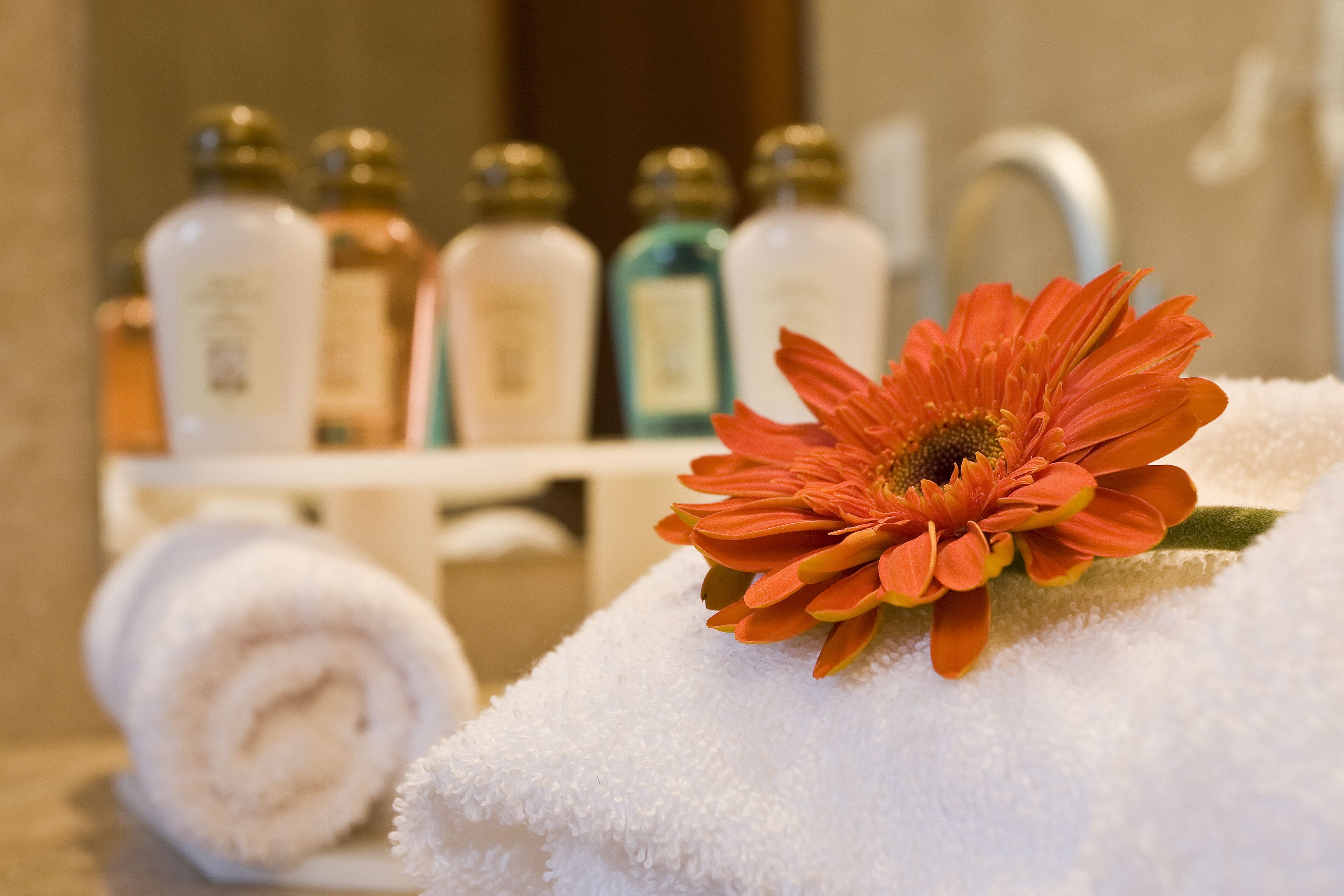 premium room | sauna