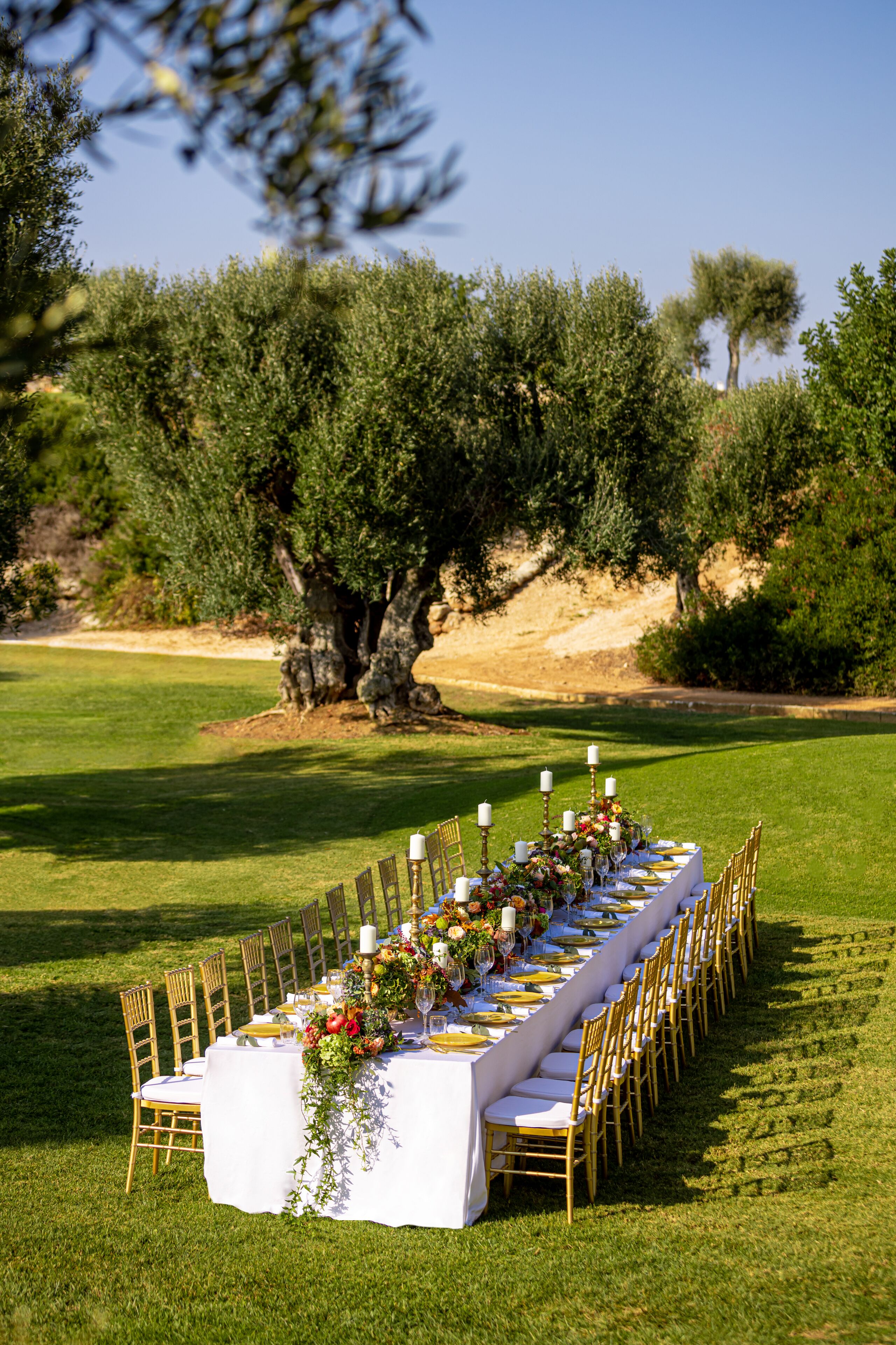 outdoor wedding area