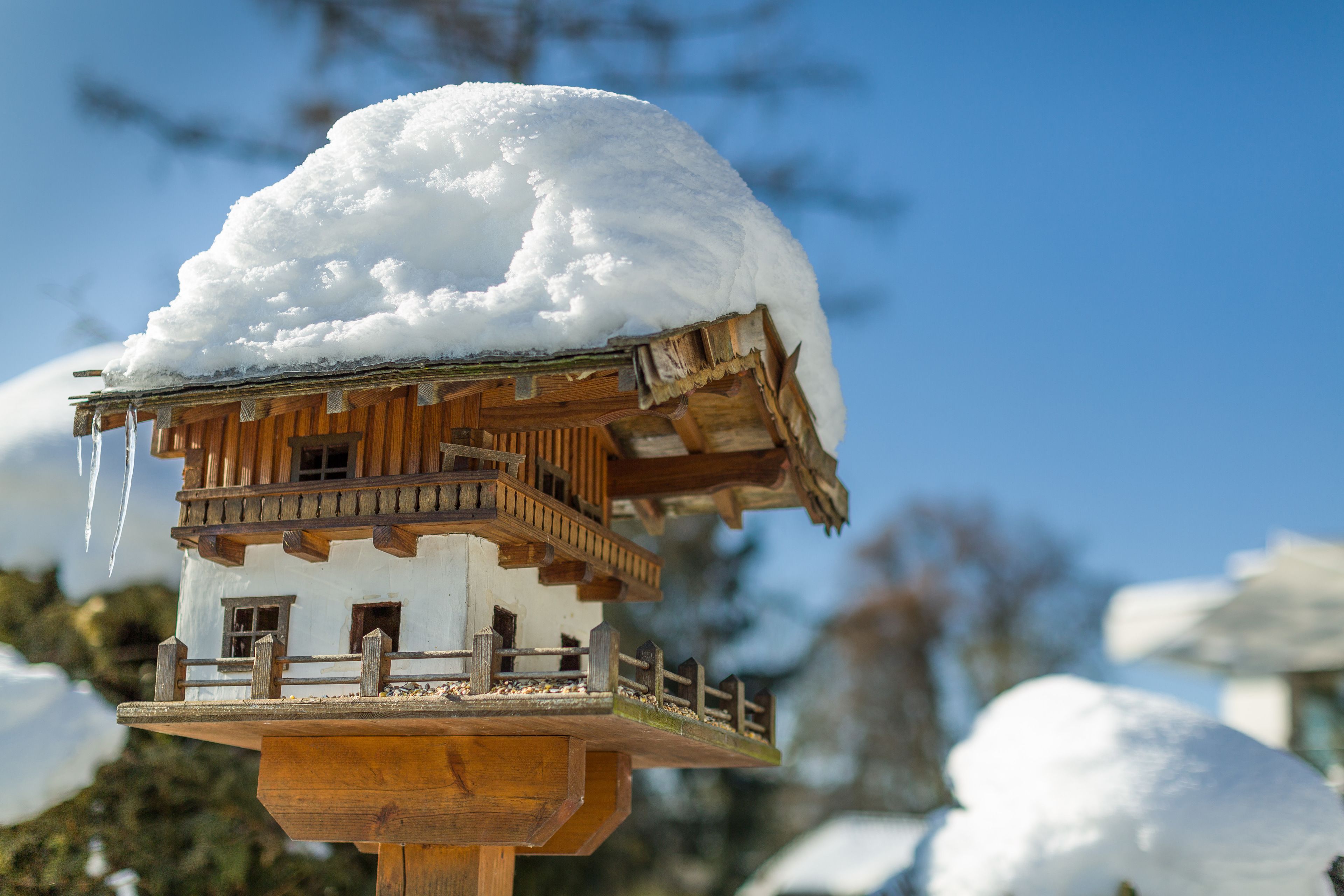 Photo - Hotel Haus Arenberg