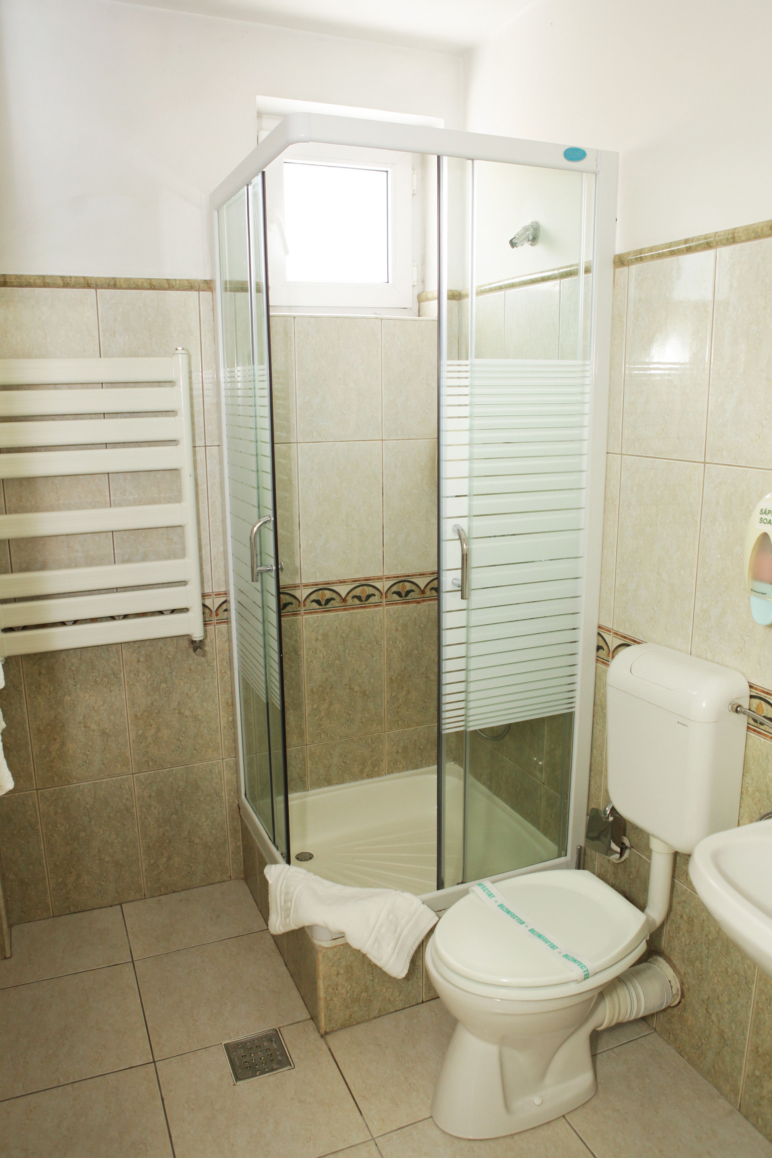 A bathroom with a glass-enclosed shower, a toilet, and a sink.