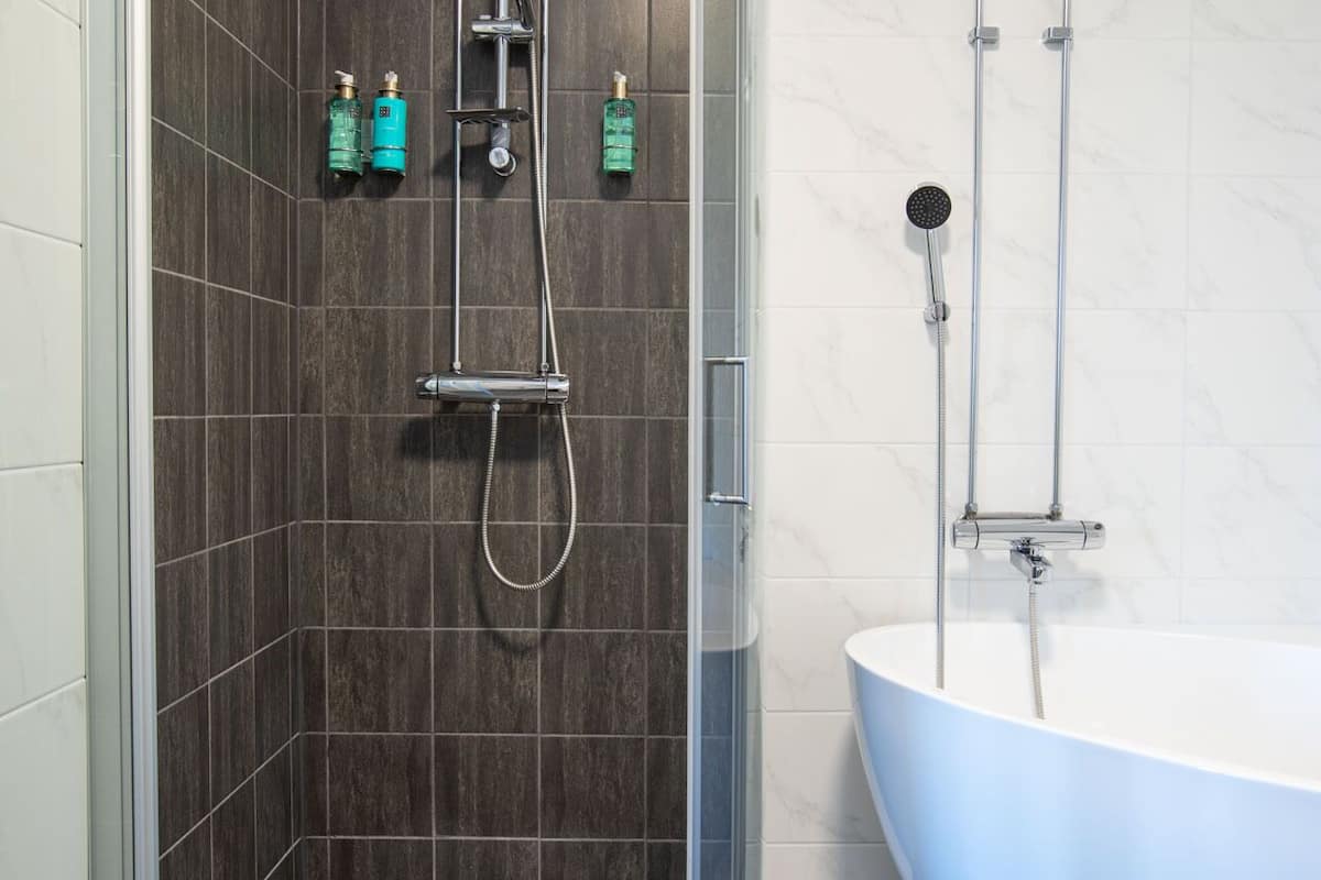 shower, free toiletries, hair dryer, towels