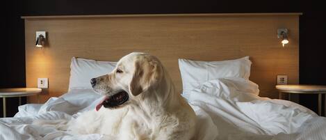 Un perro recostado sobre una cama con ropa blanca y un cabecero de madera. Hay dos mesitas de noche con lámparas a cada lado de la cama.