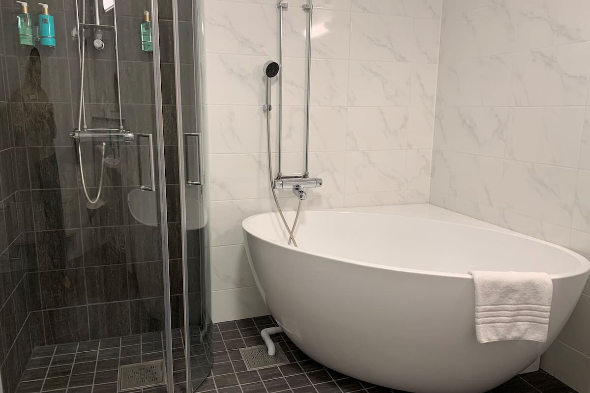 shower, free toiletries, hair dryer, towels