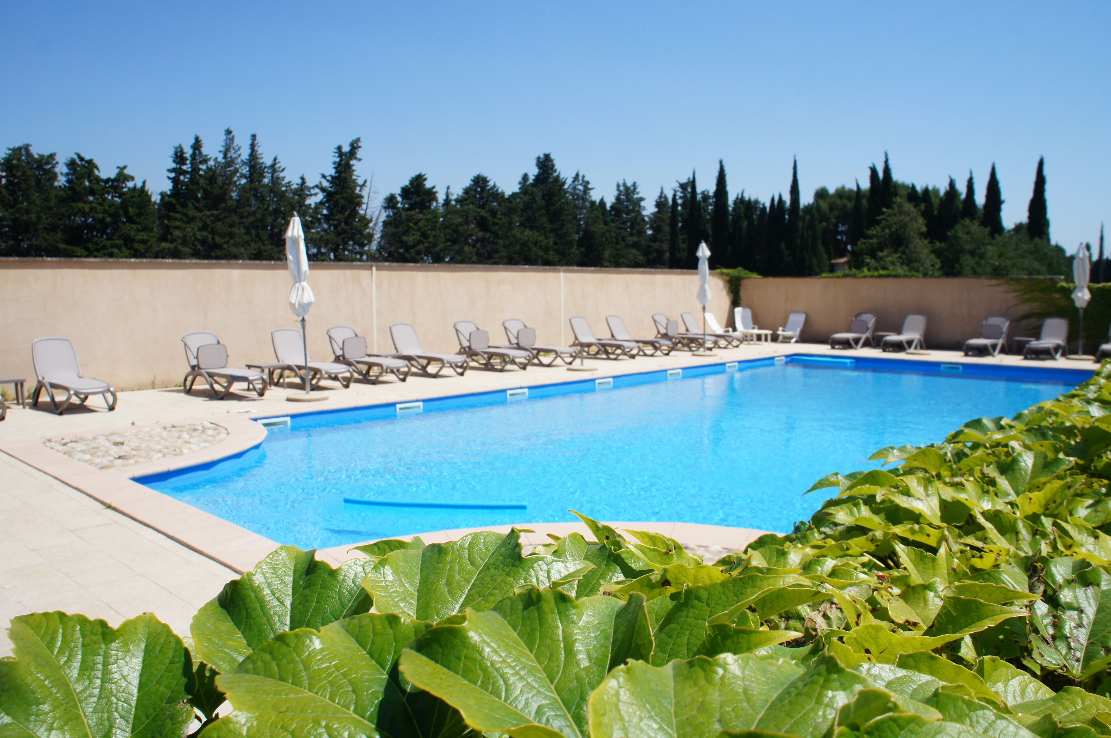 Seasonal outdoor pool, pool umbrellas, sun loungers