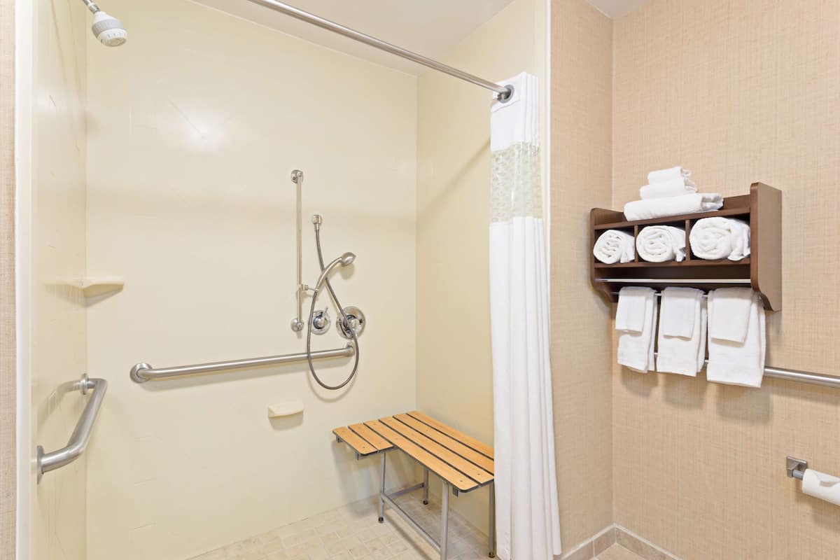 Room, 1 King Bed, Accessible, Non Smoking | Bathroom shower