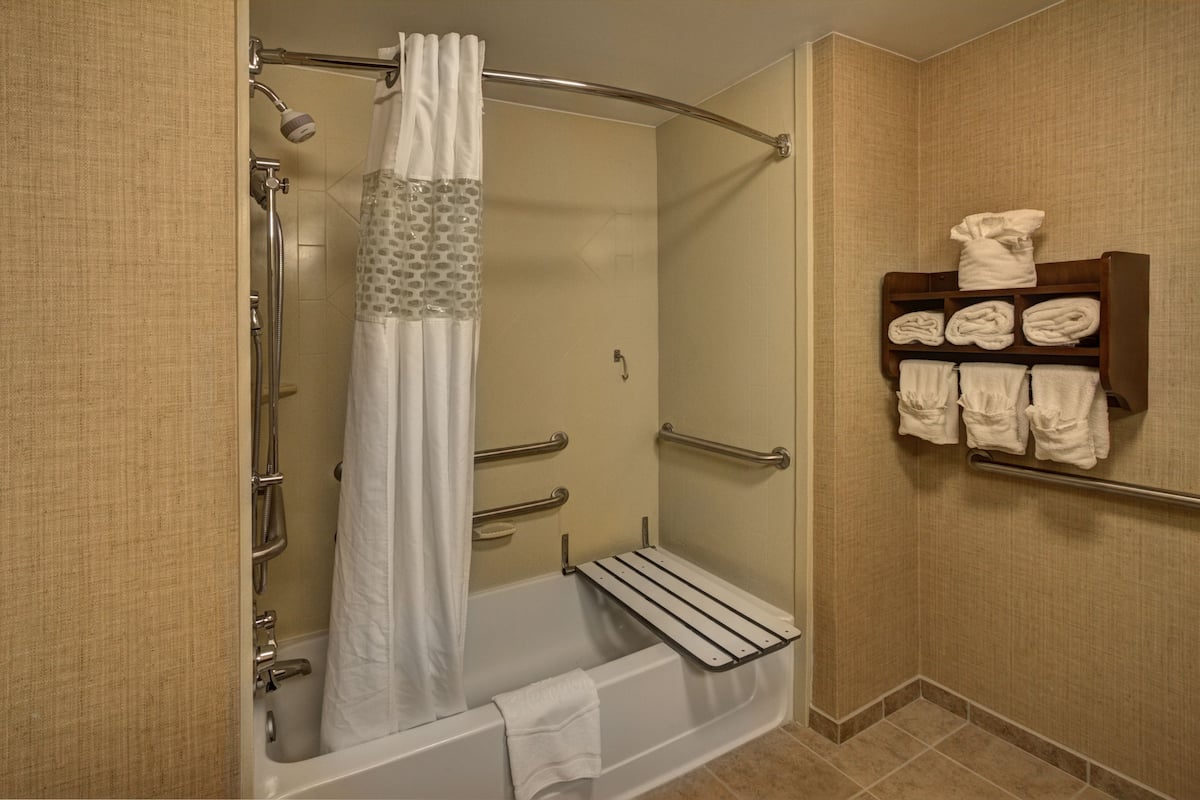 Combined shower/tub, free toiletries, hair dryer, towels