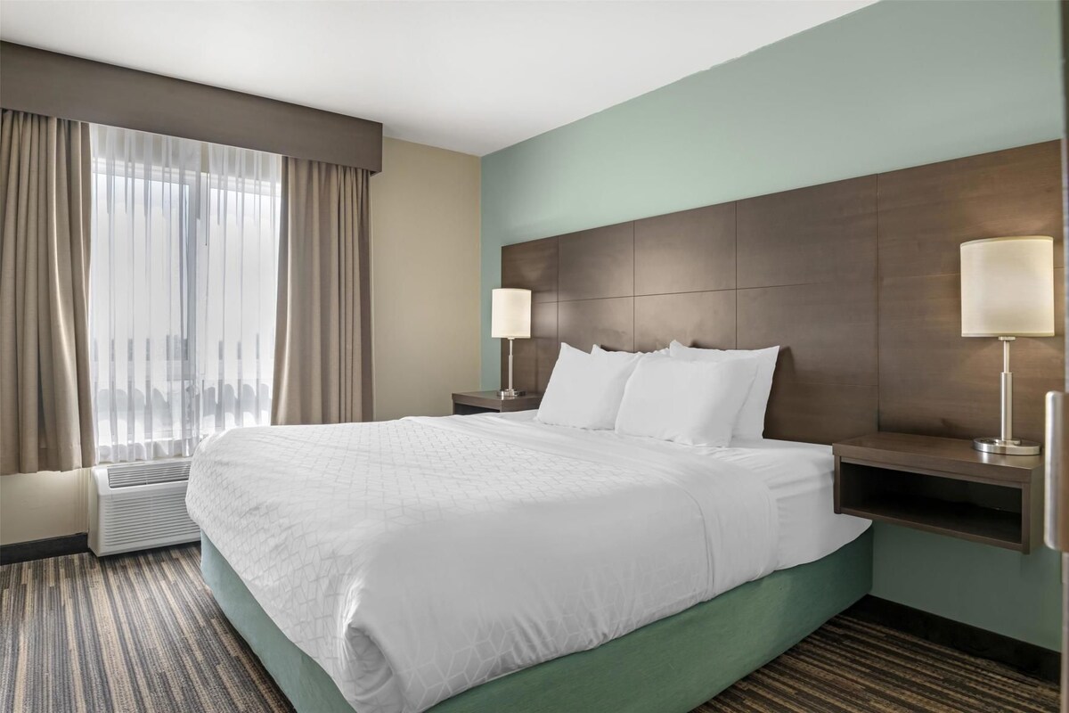 1 chambre, literie de qualité supérieure, bureau
