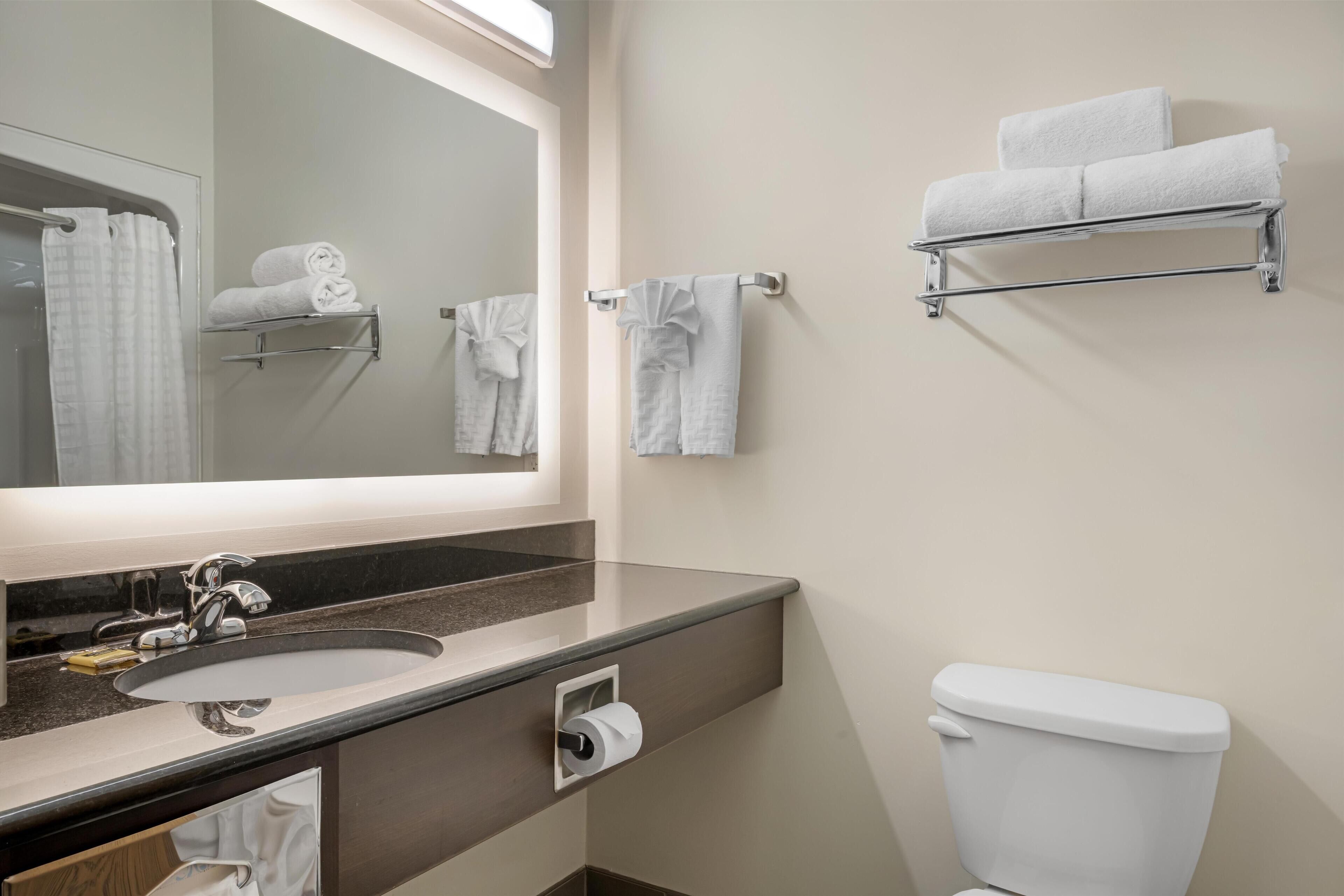 Et badeværelse med vask, spejl, håndklædestige og toilet.