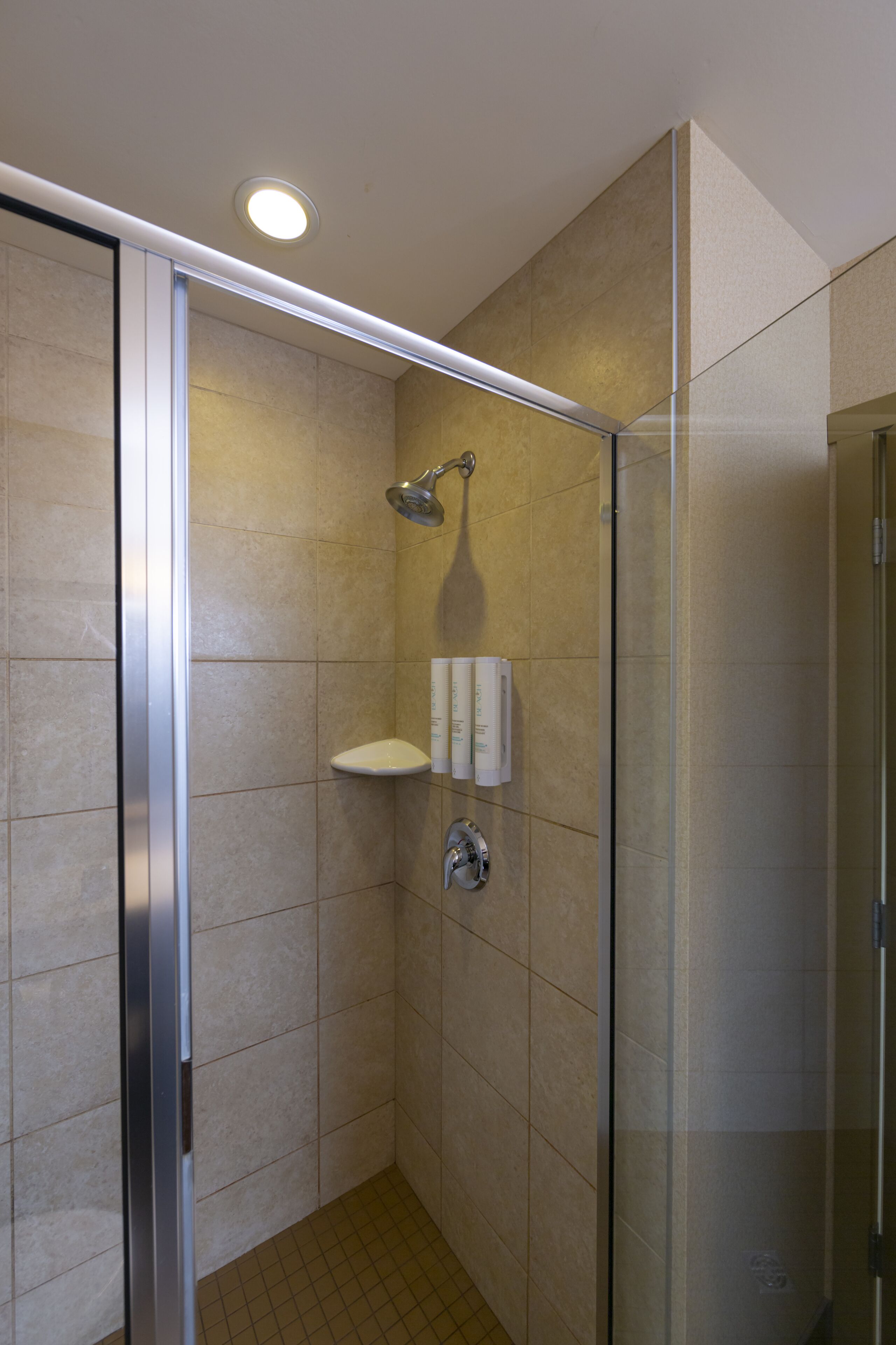 Una ducha moderna con puerta de vidrio, cabezal de ducha de mano y un estante pequeño con artículos de aseo.