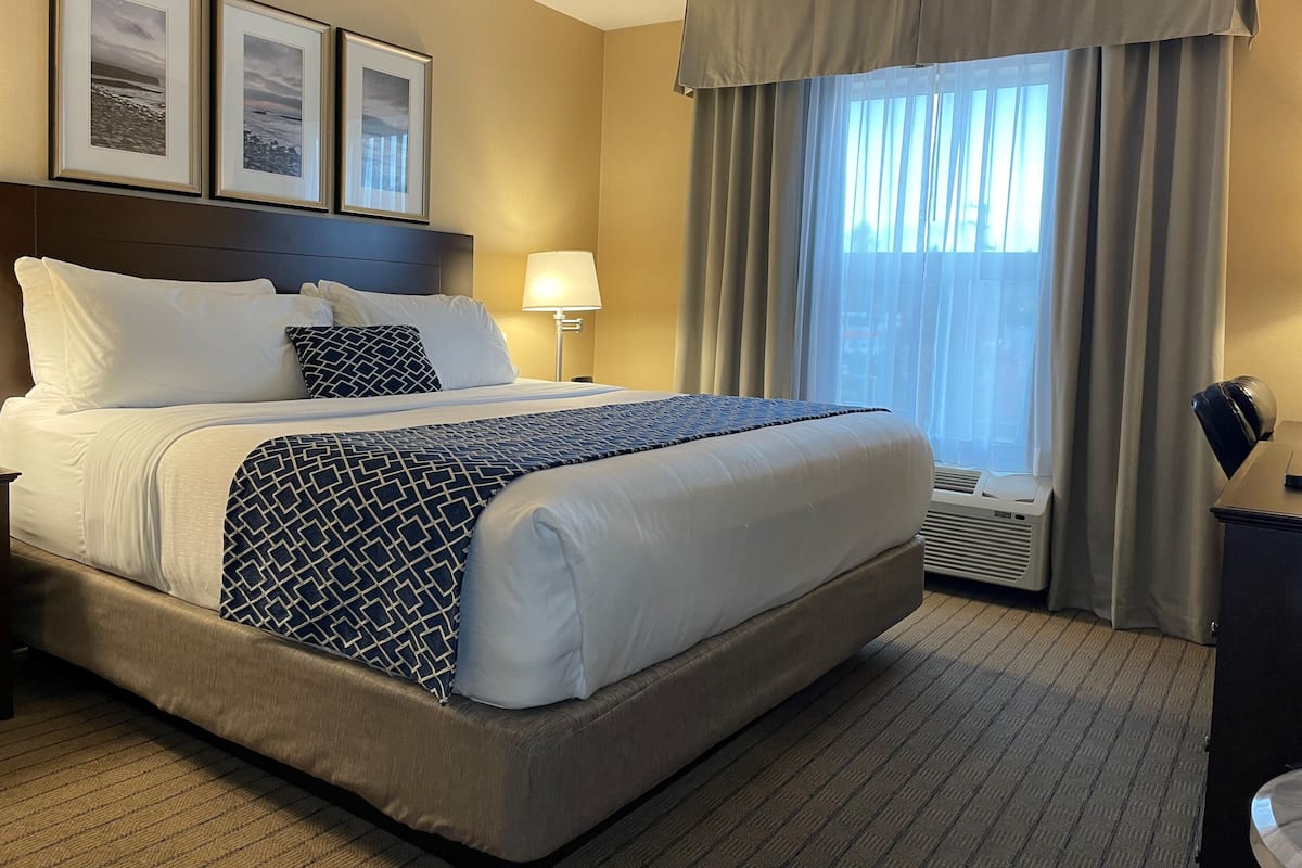 Suite, 1 King Bed with Sofa bed, Non Smoking, Jetted Tub | 1 bedroom, pillowtop beds, desk, blackout drapes