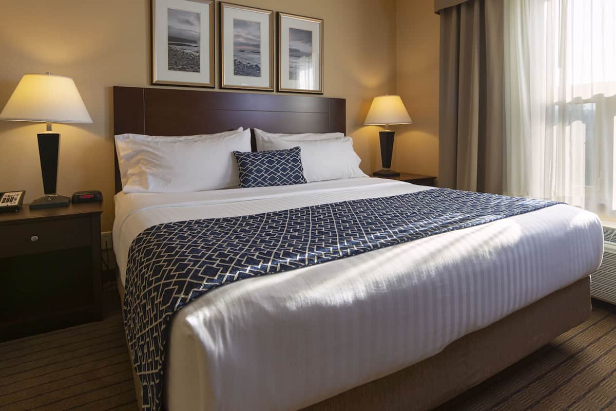 Traditional Single Room, 1 King Bed, Accessible, Non Smoking (Wheelchair) | 1 bedroom, pillowtop beds, desk, blackout drapes