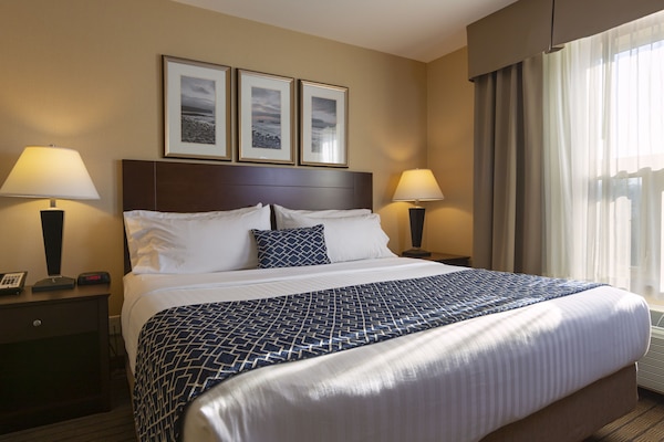 Kamar Single Tradisional, 1 Tempat Tidur King, akses difabel, Bebas Asap Rokok (Wheelchair) | Bantalan ekstra lembut, meja kerja, dan tirai kedap cahaya