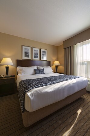 Traditional Single Room, 1 King Bed, Accessible, Non Smoking (Wheelchair)