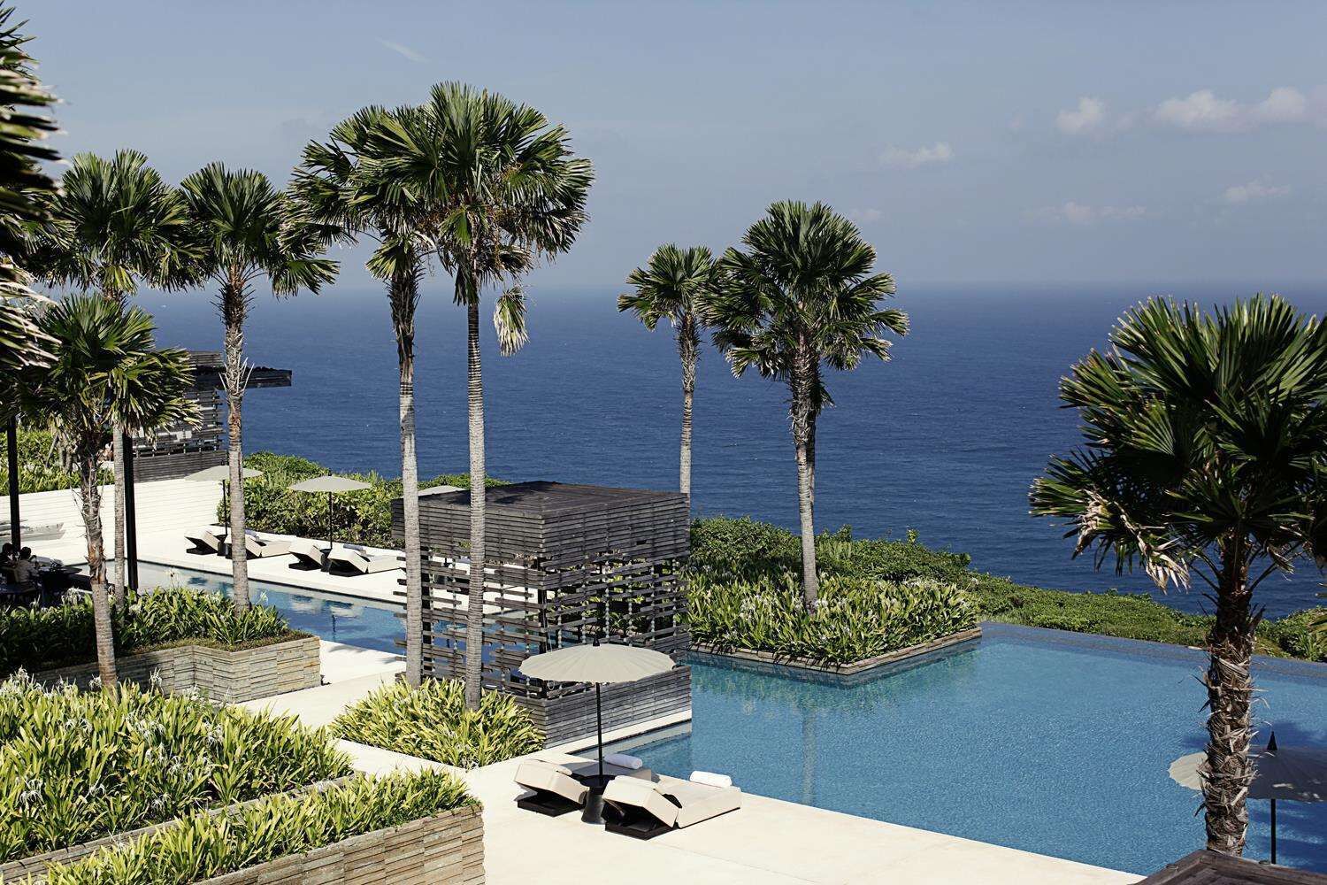 Un área de piscina con palmeras y vista al océano.