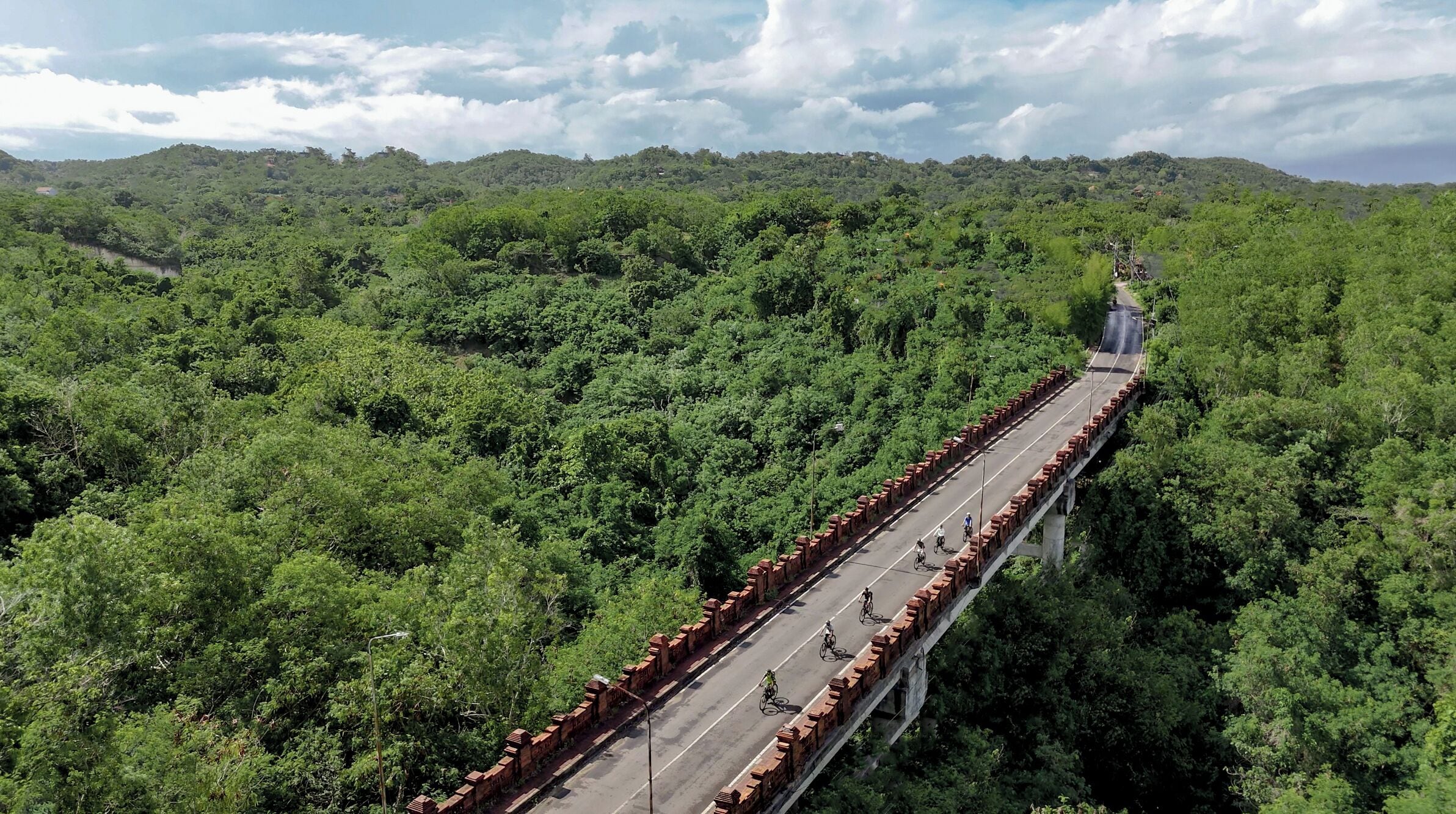 Un puente largo con un carril para cada dirección, rodeado de un denso bosque verde.