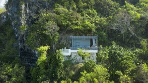 A modern house built into a cliffside, surrounded by dense forest.