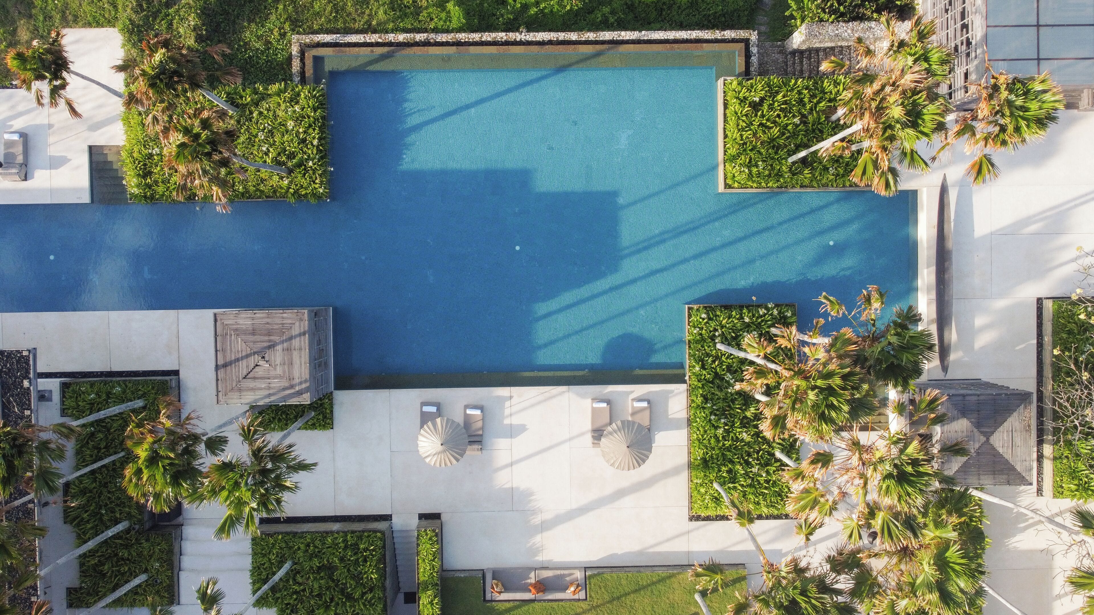 An aerial view of a modern pool area with a rectangular pool, surrounded by neatly trimmed greenery and palm trees.
