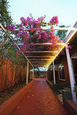 Exterior - Saj Earth Resort (Aluva)