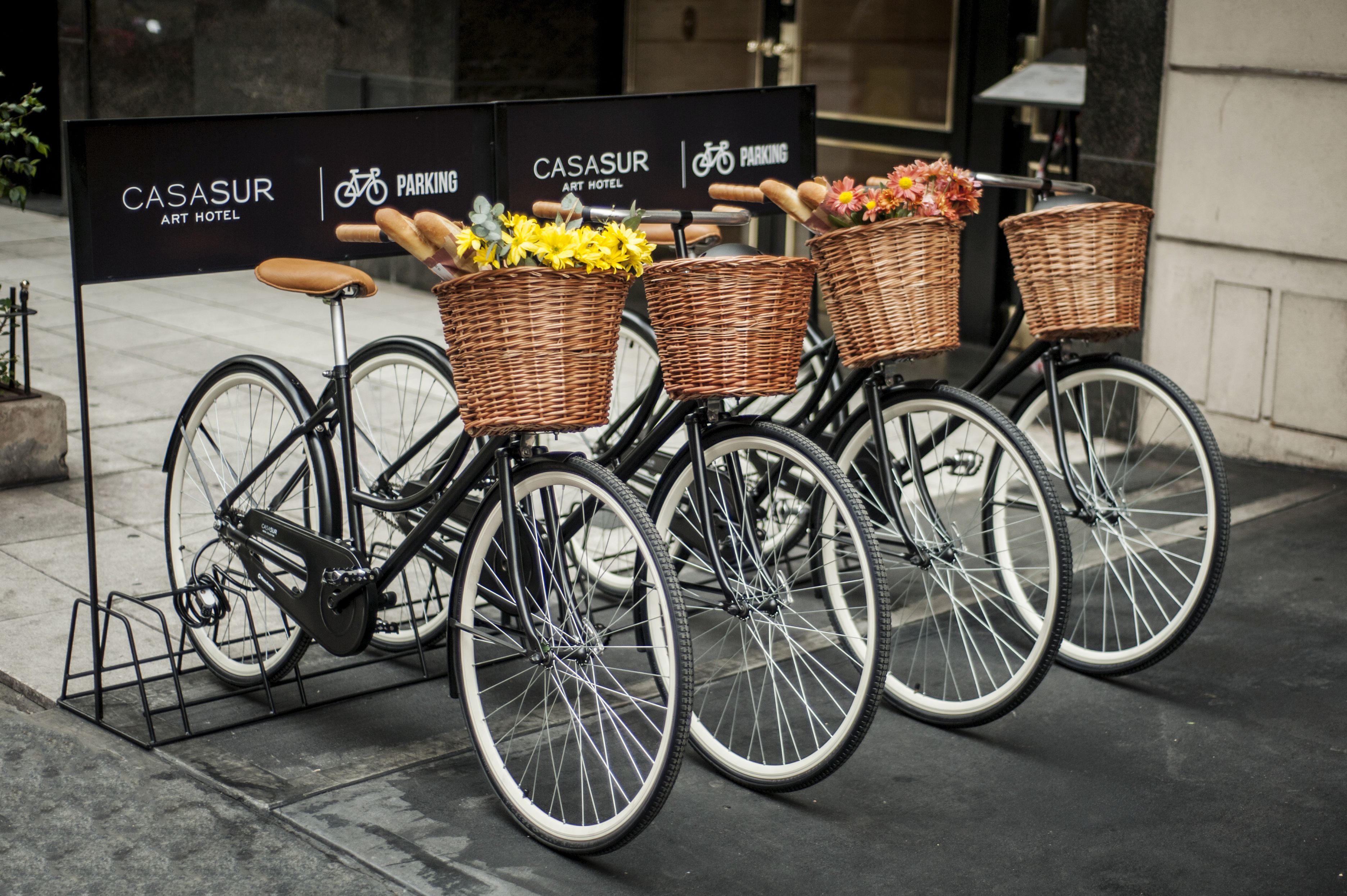 Foto - CasaSur Recoleta