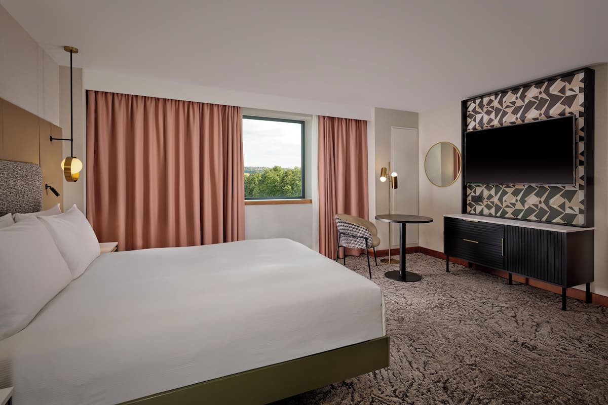 A hotel room with a large bed, a desk, a chair, a TV, and a view of greenery outside.