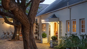 A building with a white facade, a large tree in the foreground, and a bicycle parked outside. - Rosenhof Boutique Hotel (Oudtshoorn)